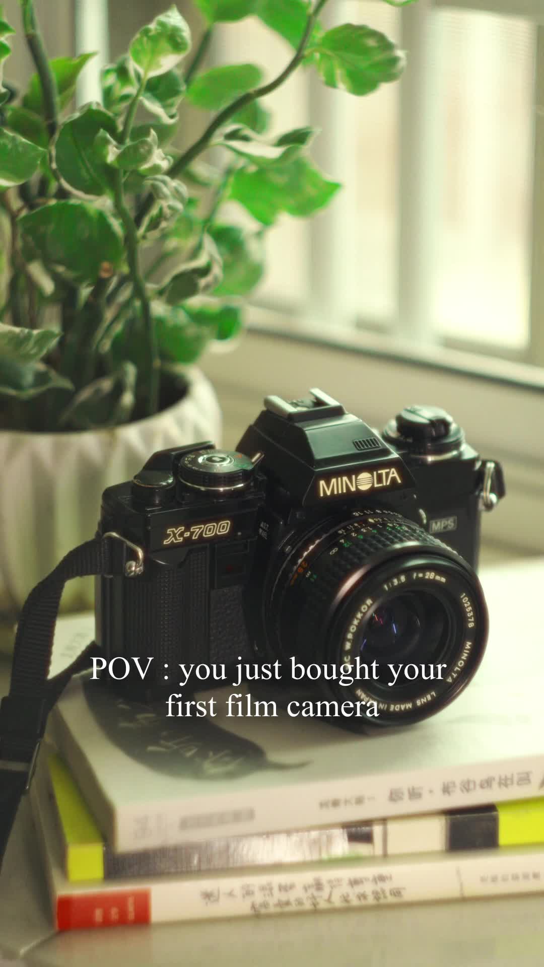 POV : Your First Film Camera