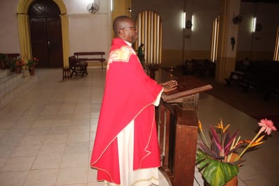 Fils de David, défenseur de ses agresseurs (Dimanche des Rameaux)