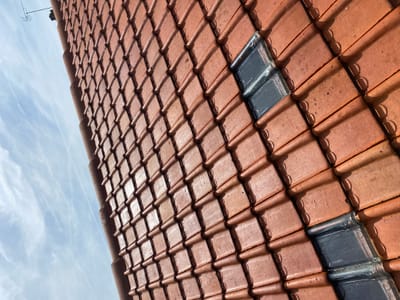 Traitement du bâtiment : application d’un fongicide .