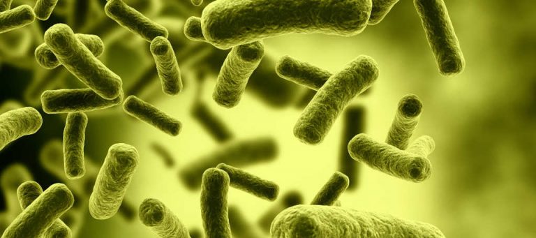 BIOINOCULANTES