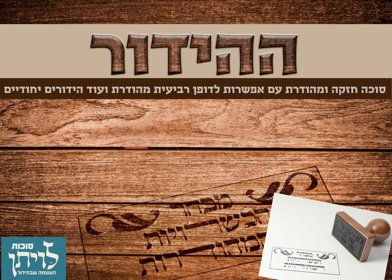 משקיעים בכשרויות המהודרות