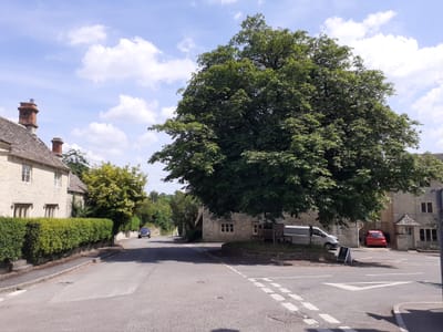 Financial statement January to March 2025