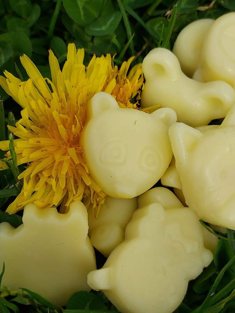 Junior Herbalist Club, Spalding