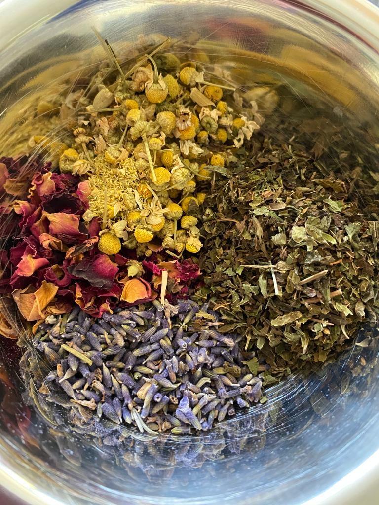 Junior Herbalist Club, Ulverston