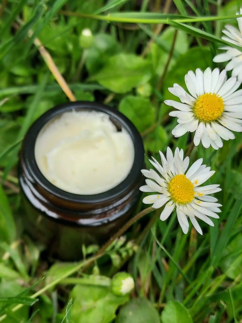Junior Herbalist Club, Bentham