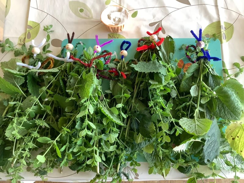 Junior Herbalist Club, London