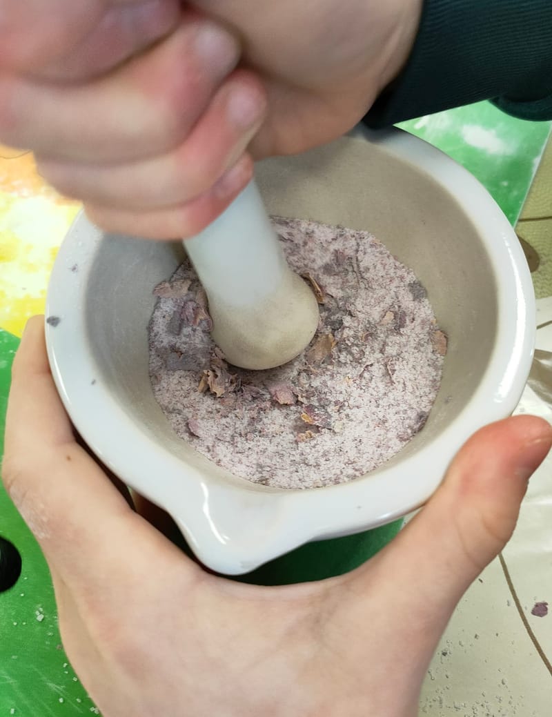 Junior Herbalist Club, Blue Mountains/ Western Sydney, AUS