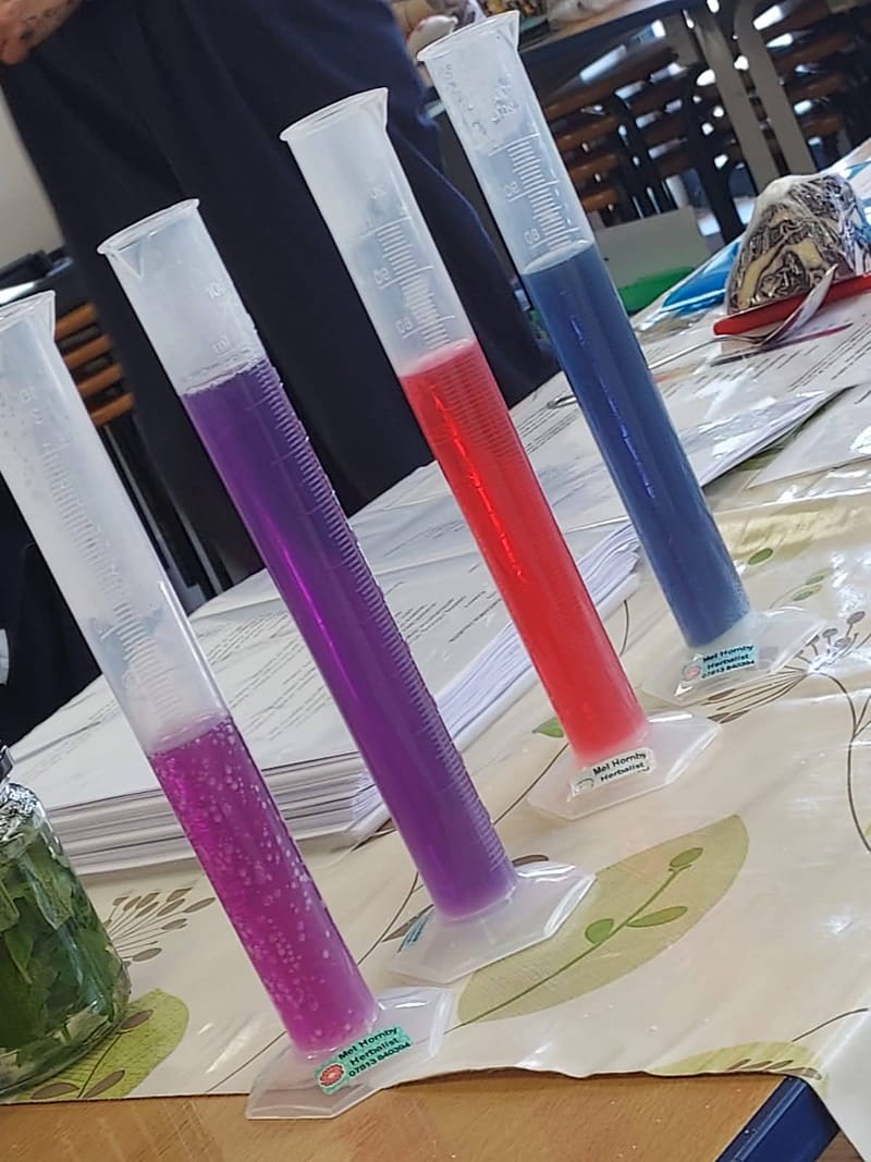 Junior Herbalist Club, East Brisbane, AUS