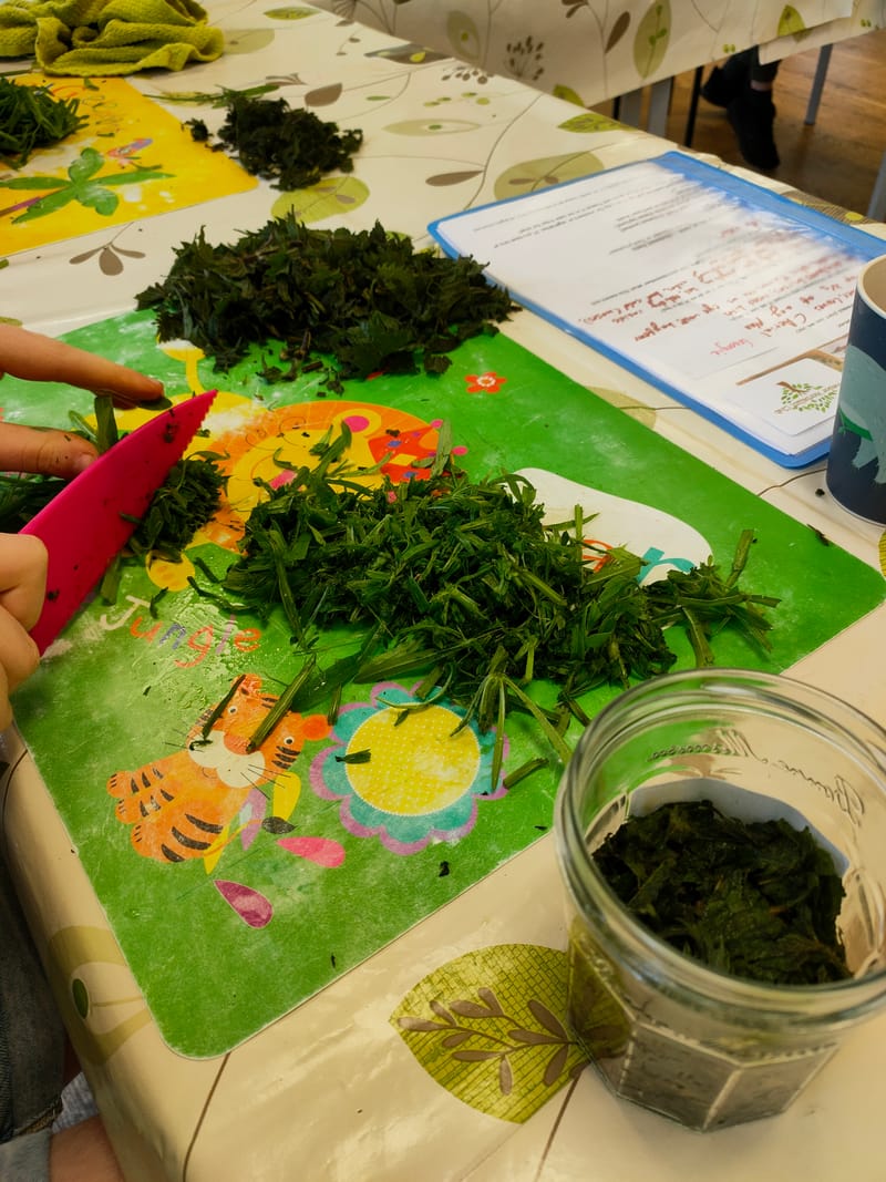 Junior Herbalist Club, Mulgrave/ Upway, VIC, AUS