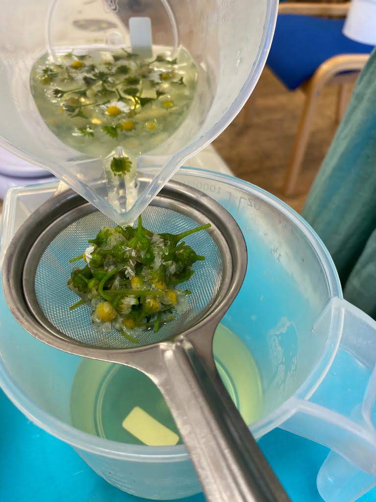 Junior Herbalist Club, Adelaide