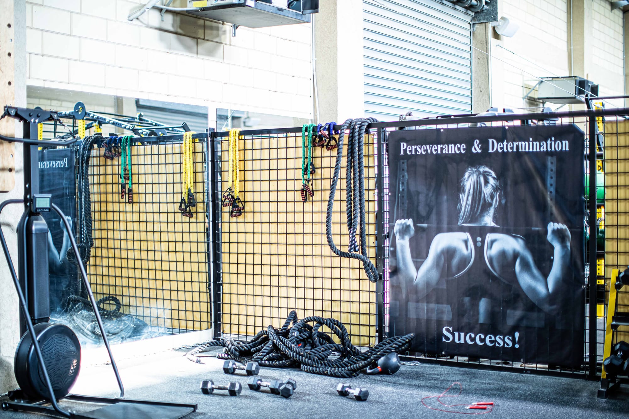 עיצובים בהתאמה אישית