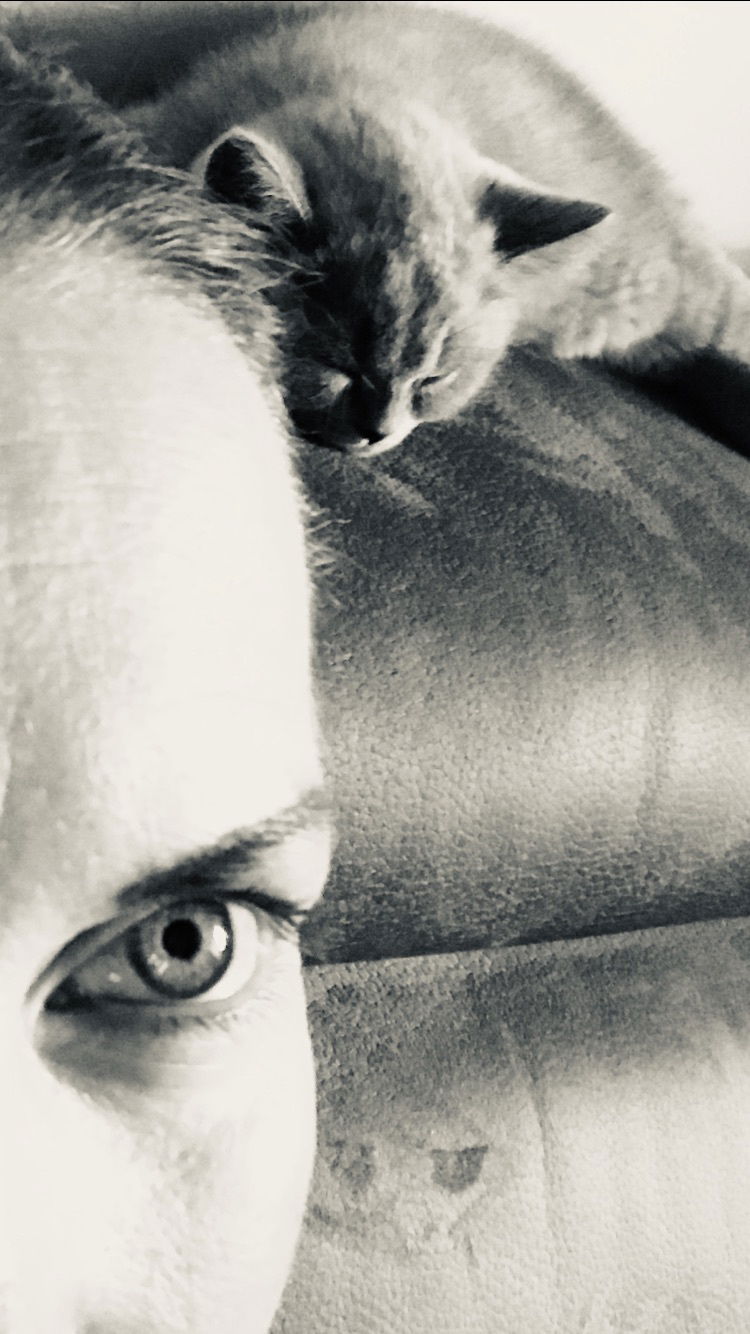 Über mich - Ihre Katzennanny mit Herz 🩶