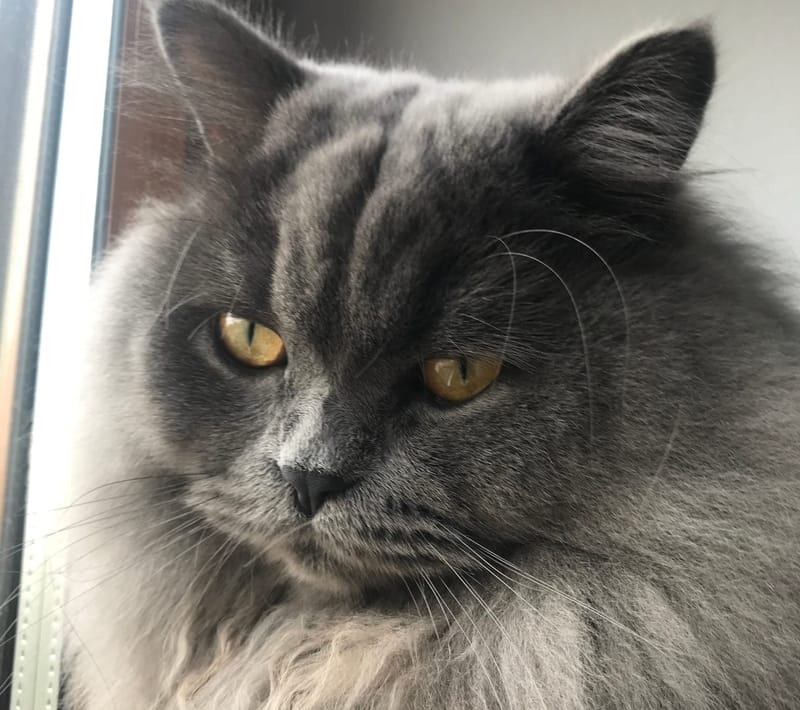 Datenschutzerklärung