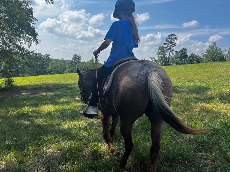 Western Style HorseBack Riding Lessons