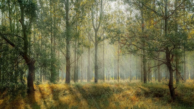 Les Parcs Naturels