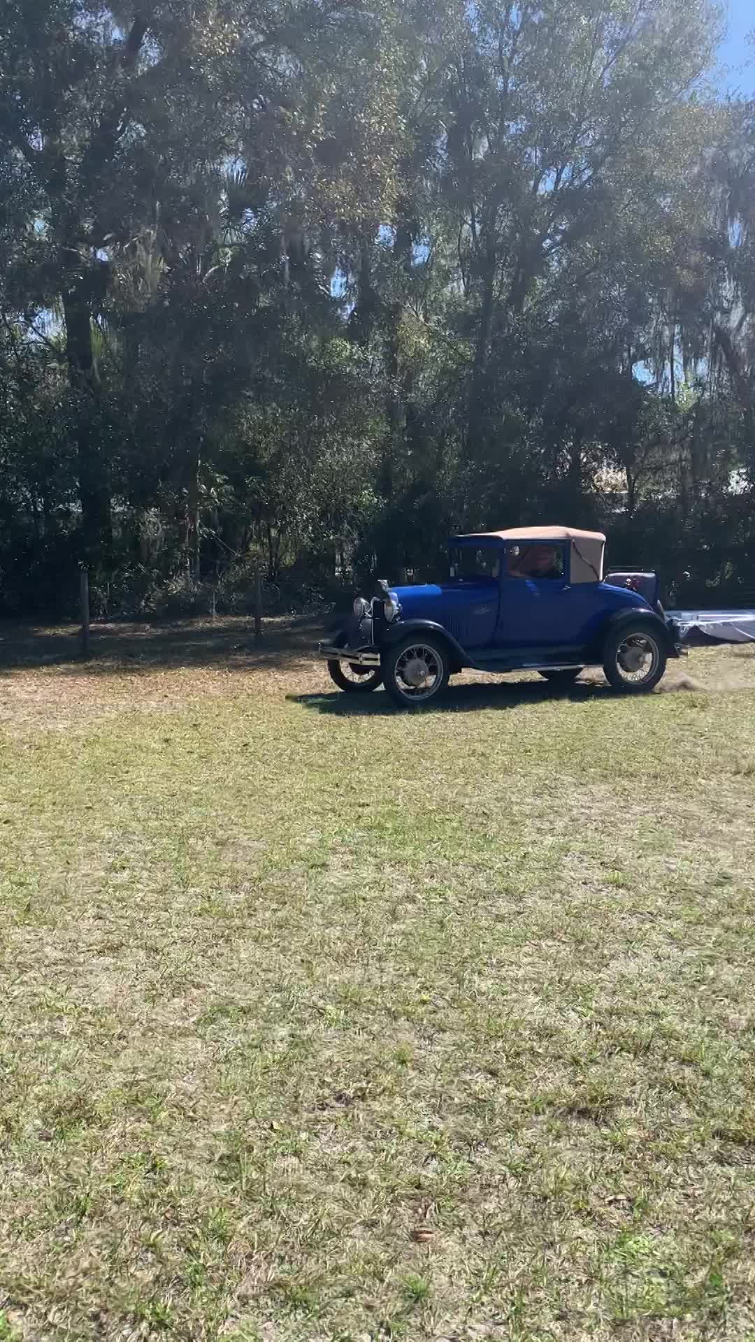 Drive it like you stole it!