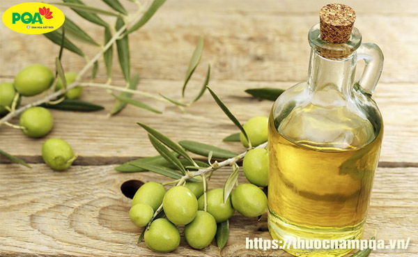 Mối Liên Hệ Giữa Bệnh Táo Bón Và Sức Khỏe Đường Ruột: Khám Phá Khoa Học