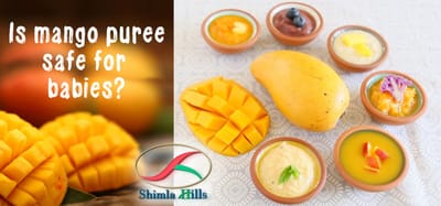 Is mango puree safe for babies?