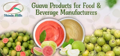 Shimla Hills Guava Offerings for the Food & Beverage Manufacturers