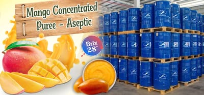 28 °Brix Mango Concentrated Puree - Aseptic