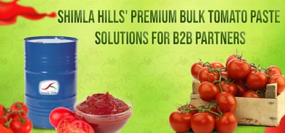 Shimla Hills’ Premium Bulk Tomato Paste Solutions for B2B Partners