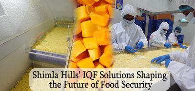 Shimla Hills’ IQF Solutions for the Future of Food Security
