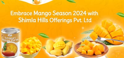 Embrace Mango Season 2024 with Shimla Hills Offerings Pvt. Ltd