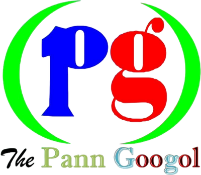 THE PANN GOOGOL Consultants