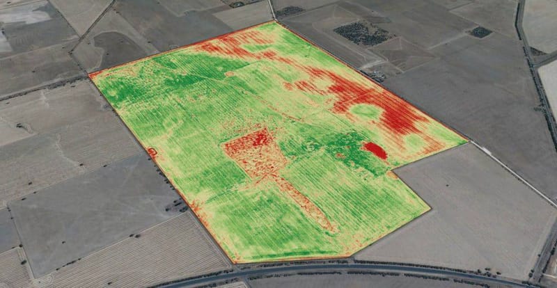 AGRICULTURAL HEALTH DRONE SURVEY