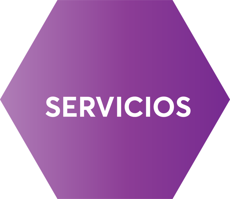 SERVICIOS