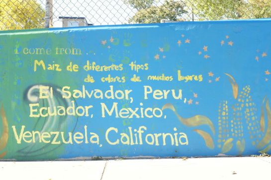 Urban Indigenous Communities