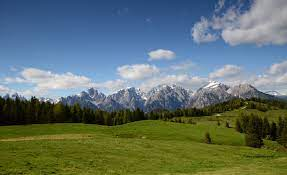 Parco dei sogni (SV. 328 B) - Lorenzago di Cadore
