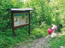 Sentiero botanico Tita Poa - Lozzo di Cadore