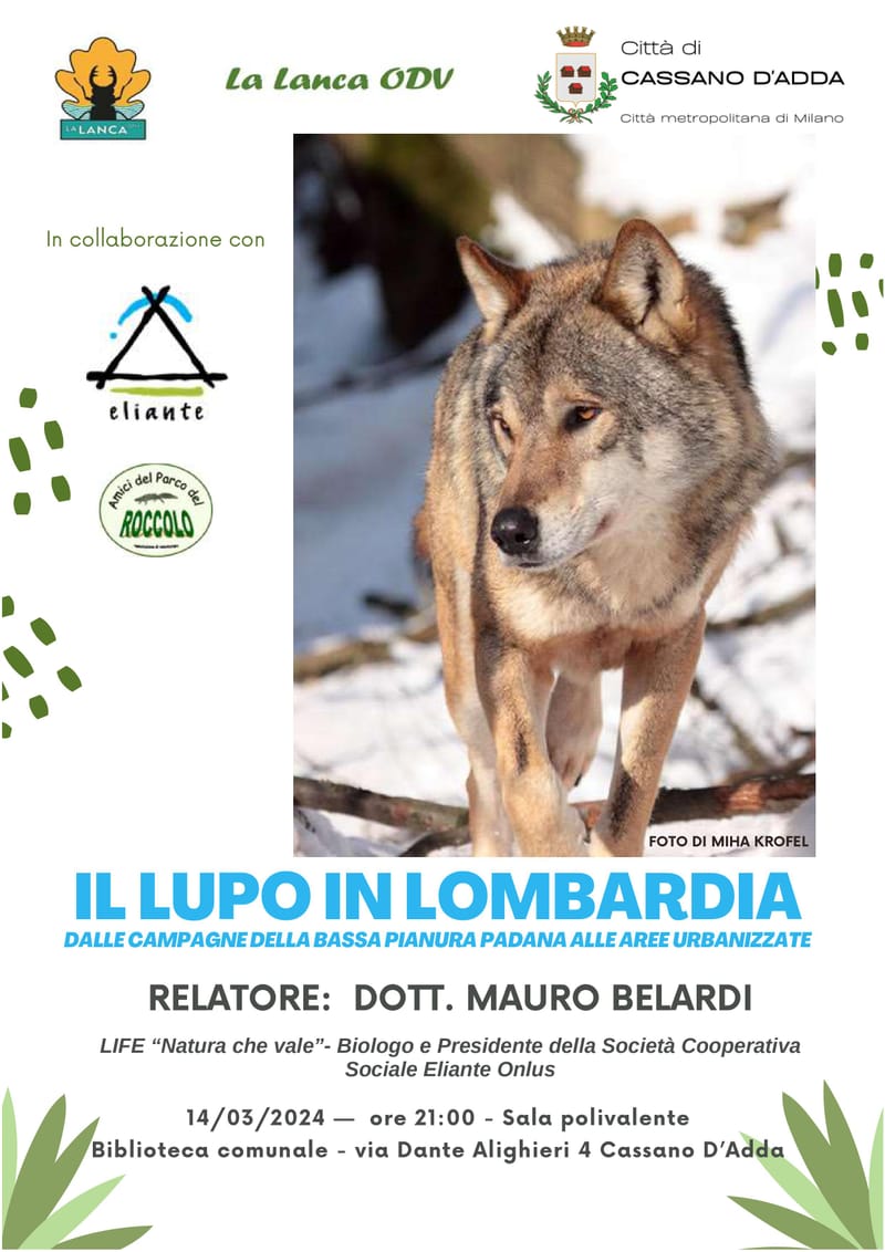 PARCO DEL ROCCOLO - CONFERENZA IL LUPO IN LOMBARDIA
