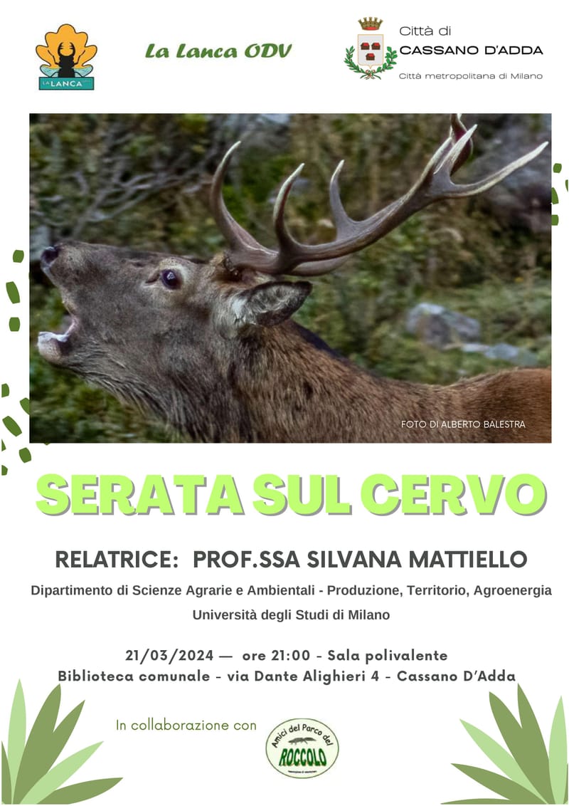 PARCO DEL ROCCOLO - SERATA SUL CERVO