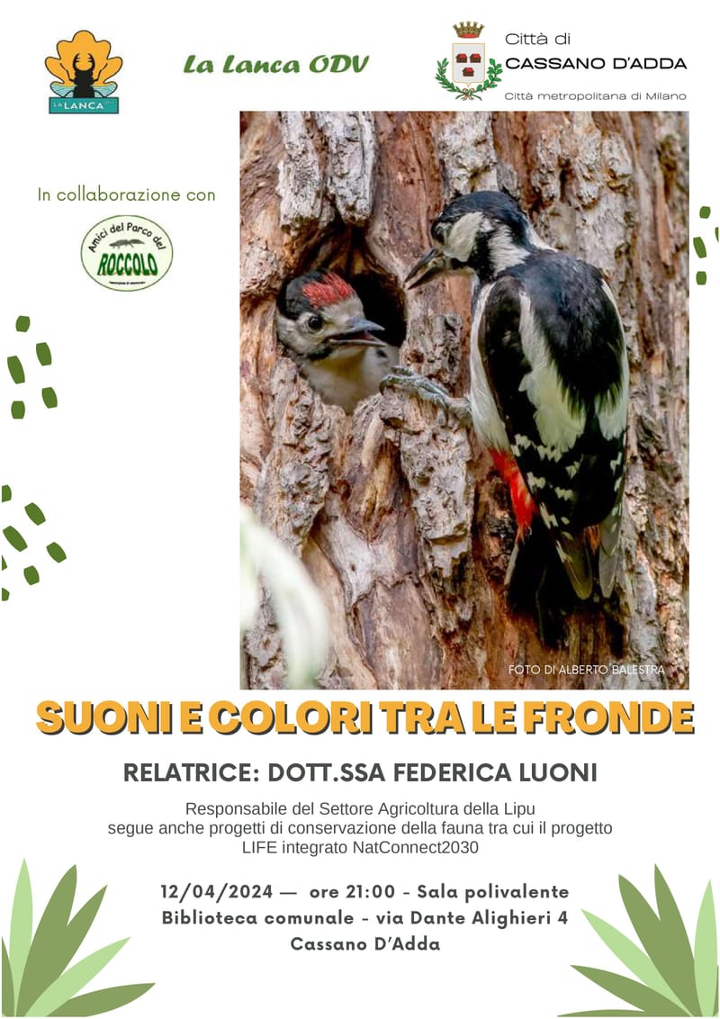 PARCO DEL ROCCOLO - SUONI E COLORI TRA LE FRONDE