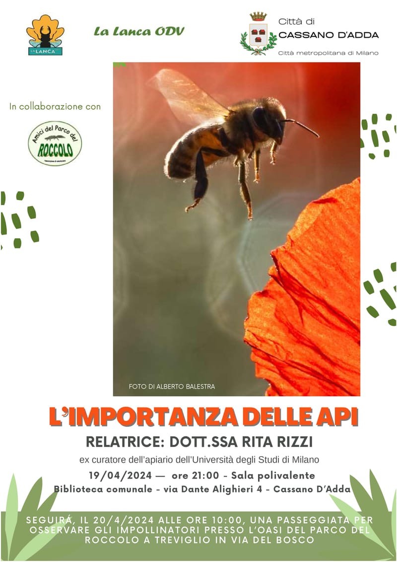 PARCO DEL ROCCOLO - L'IMPORTANZA DELLE API