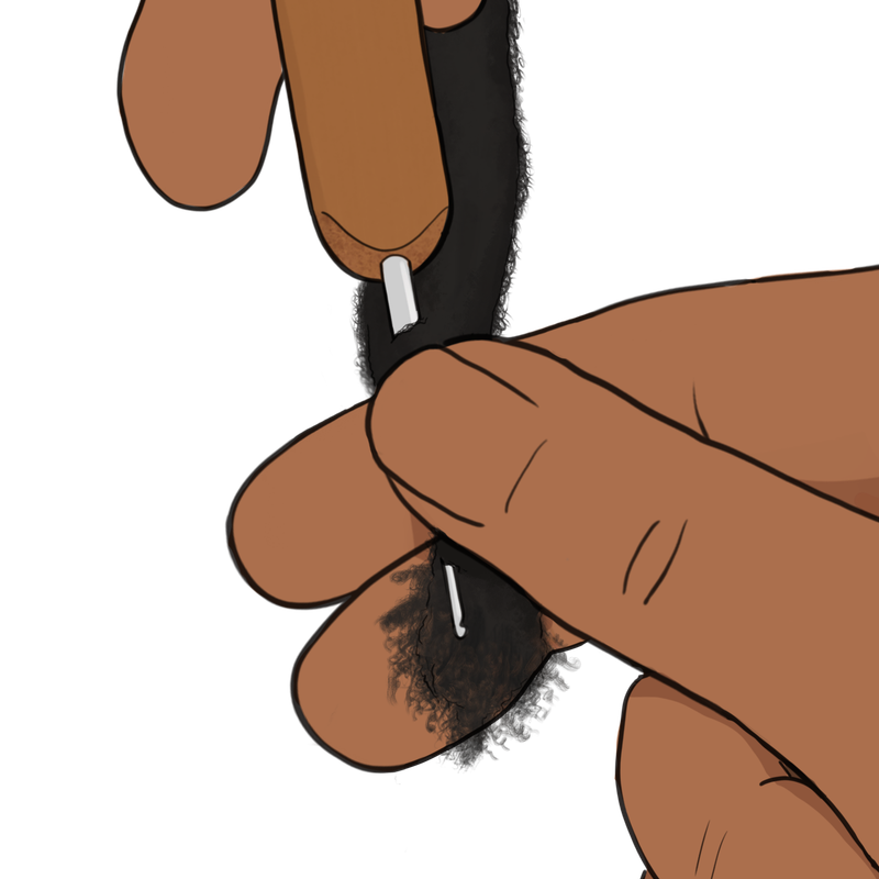 Digital Illustrations