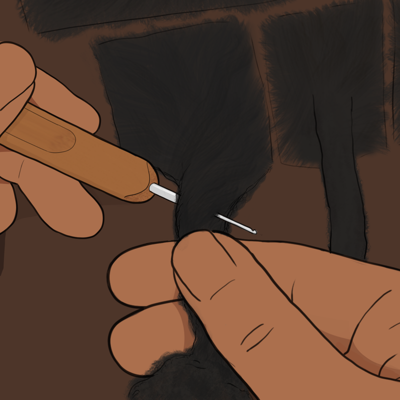 Digital Illustrations