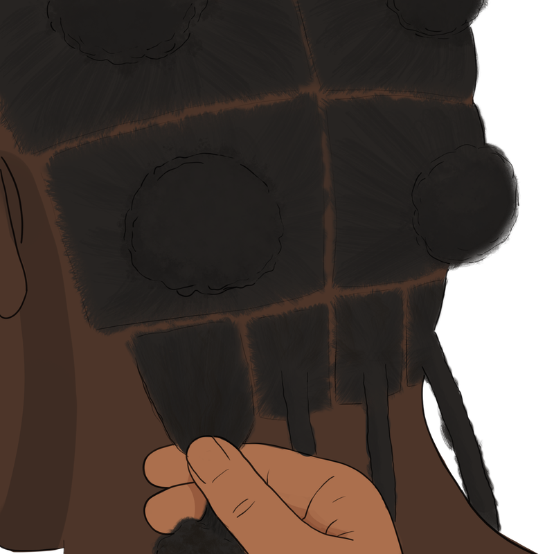 Digital Illustrations