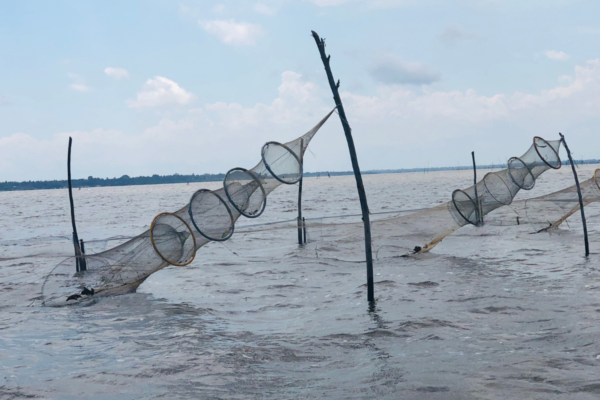 Navigating the Shallow Waters of Lake Togo