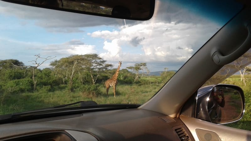 Epic Adventure in Wildlife Habitat