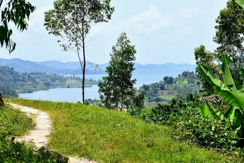 Along the Congo Nile Trail