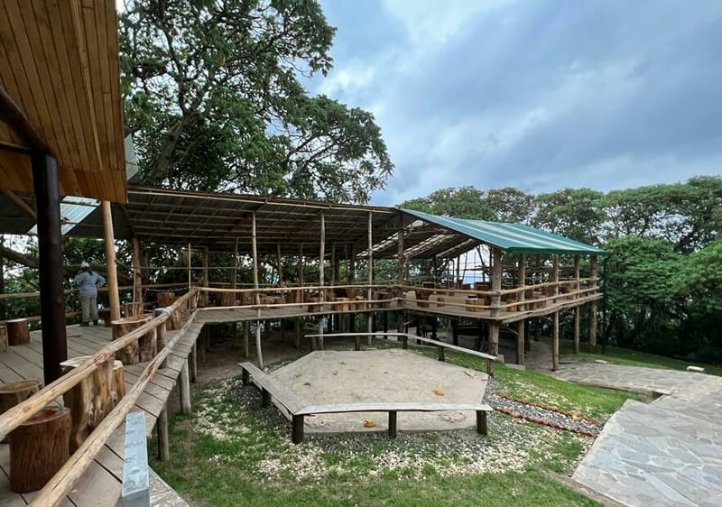 A Day in Nyungwe National Park