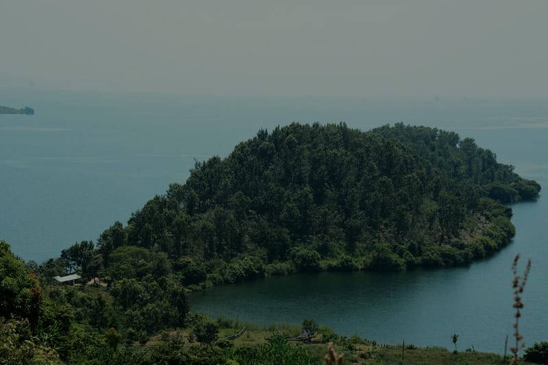 Coffee From Paradise