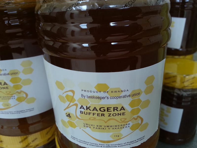 The Benefits of Beekeeping Transcend Honey's Culinary Delights