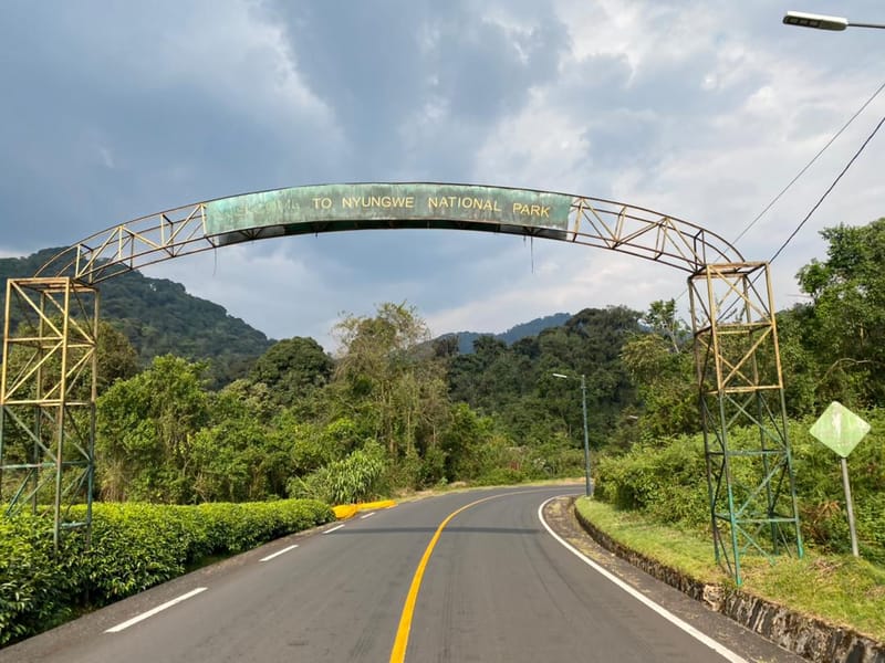 Crossing Nyungwe Forest, En Route to Nyamagabe