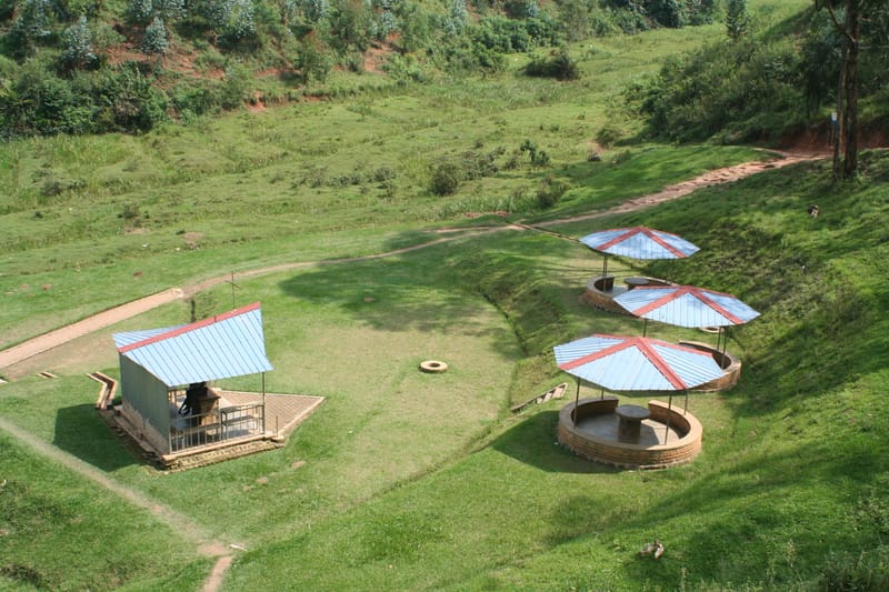 Whispers of Tranquility