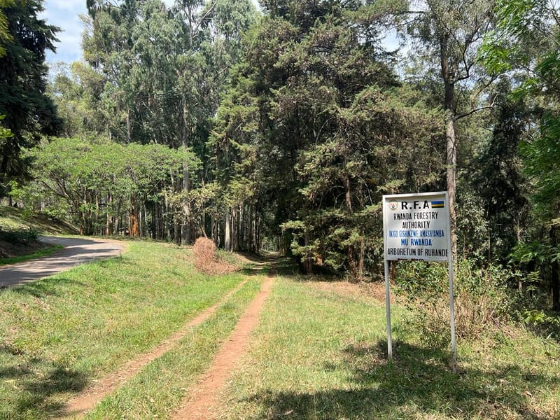 Exploring Huye: A Blend of History, Education, and Nature
