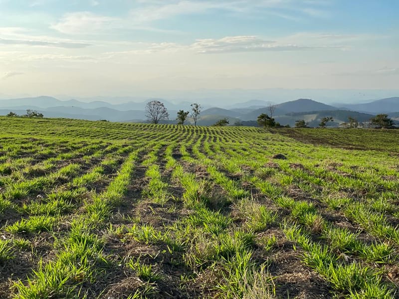 LIÇENCIAMENTO AMBIENTAL